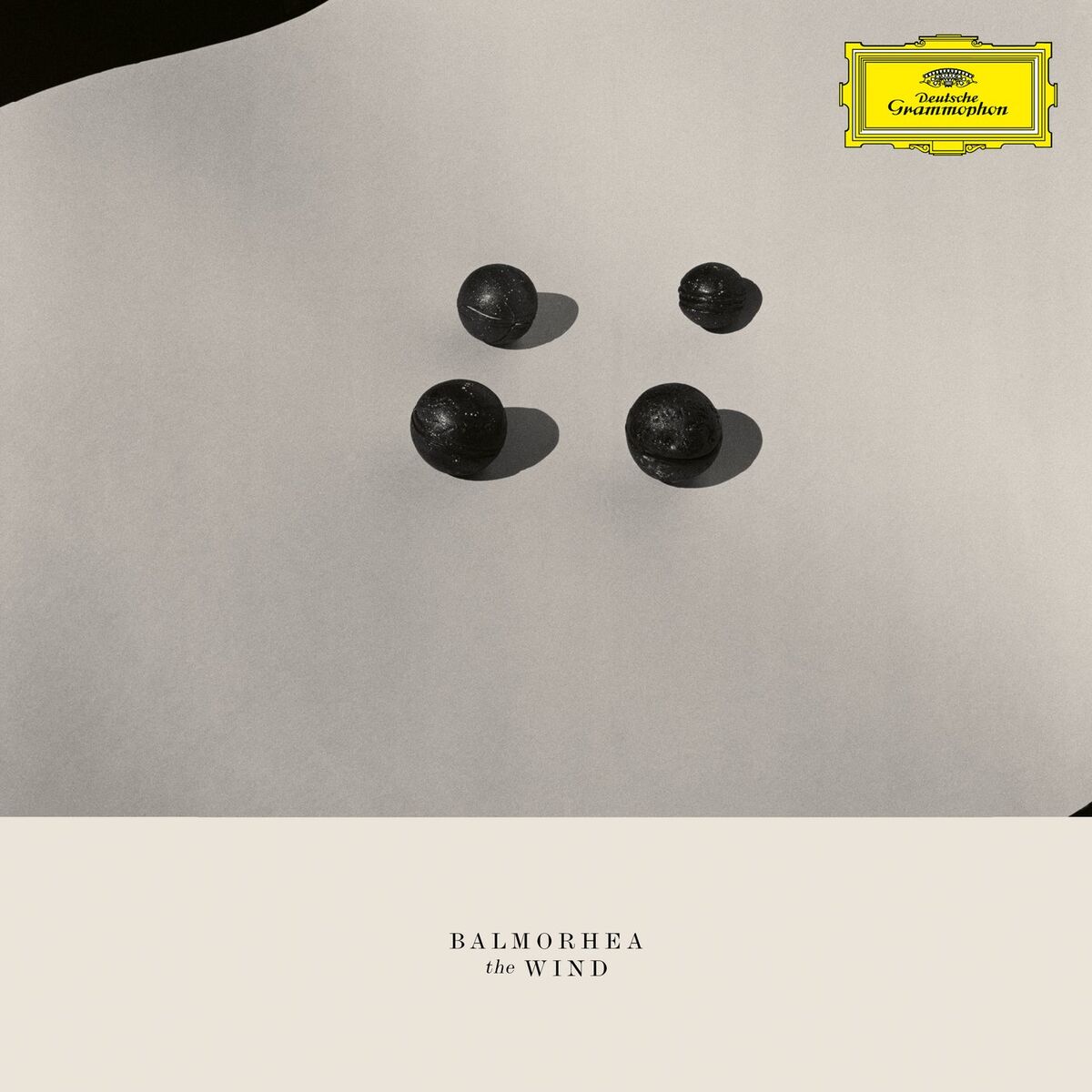 Album cover of V