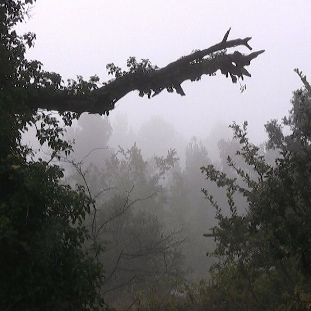 Picture of La brume, et la plume du poète qui inquiète (feat. Radu Ungureanu & Orquestra NovNorte)