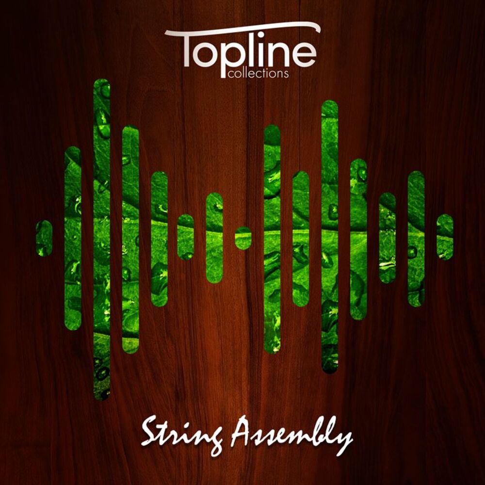Picture of Topline Collections: String Assembly