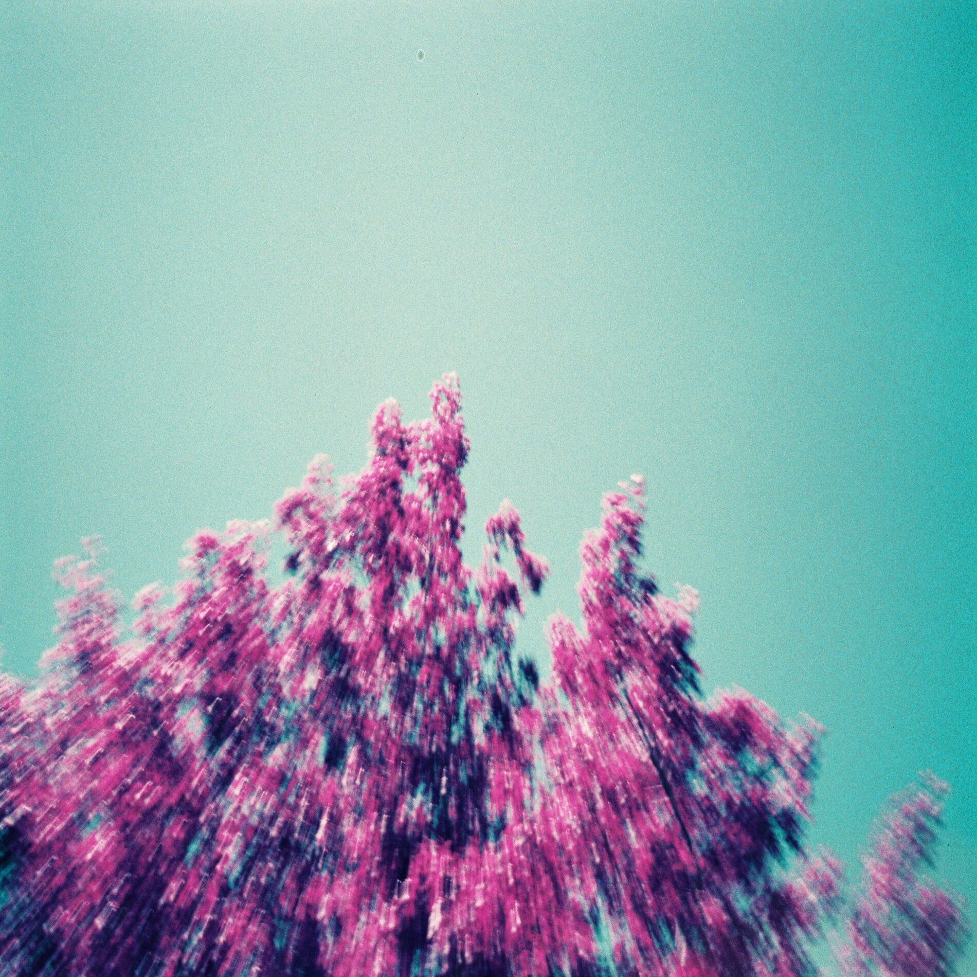 Album cover of Settle