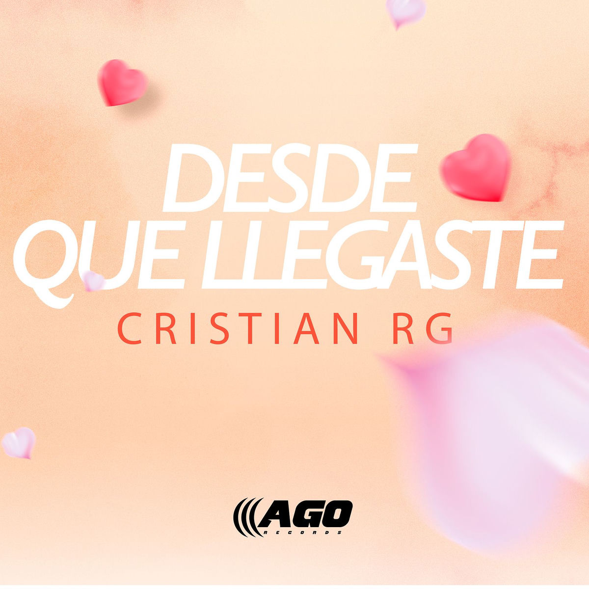 Album cover of Desde Que Llegaste