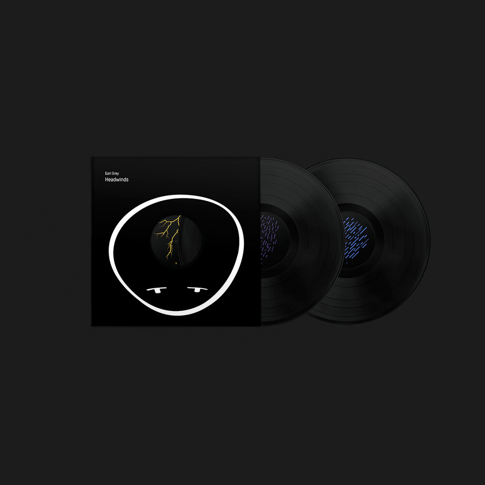 Picture of Headwinds LP