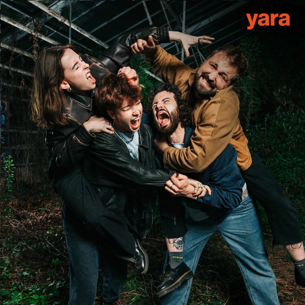 Album cover of Bärenangriff