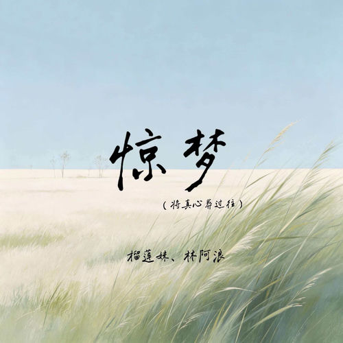 惊梦 (将真心葬过往)