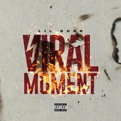 Cover of Viral Moment