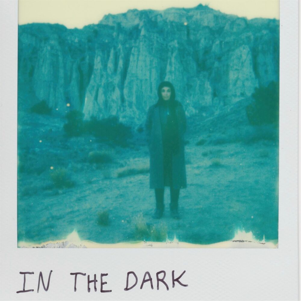 Picture of In the Dark