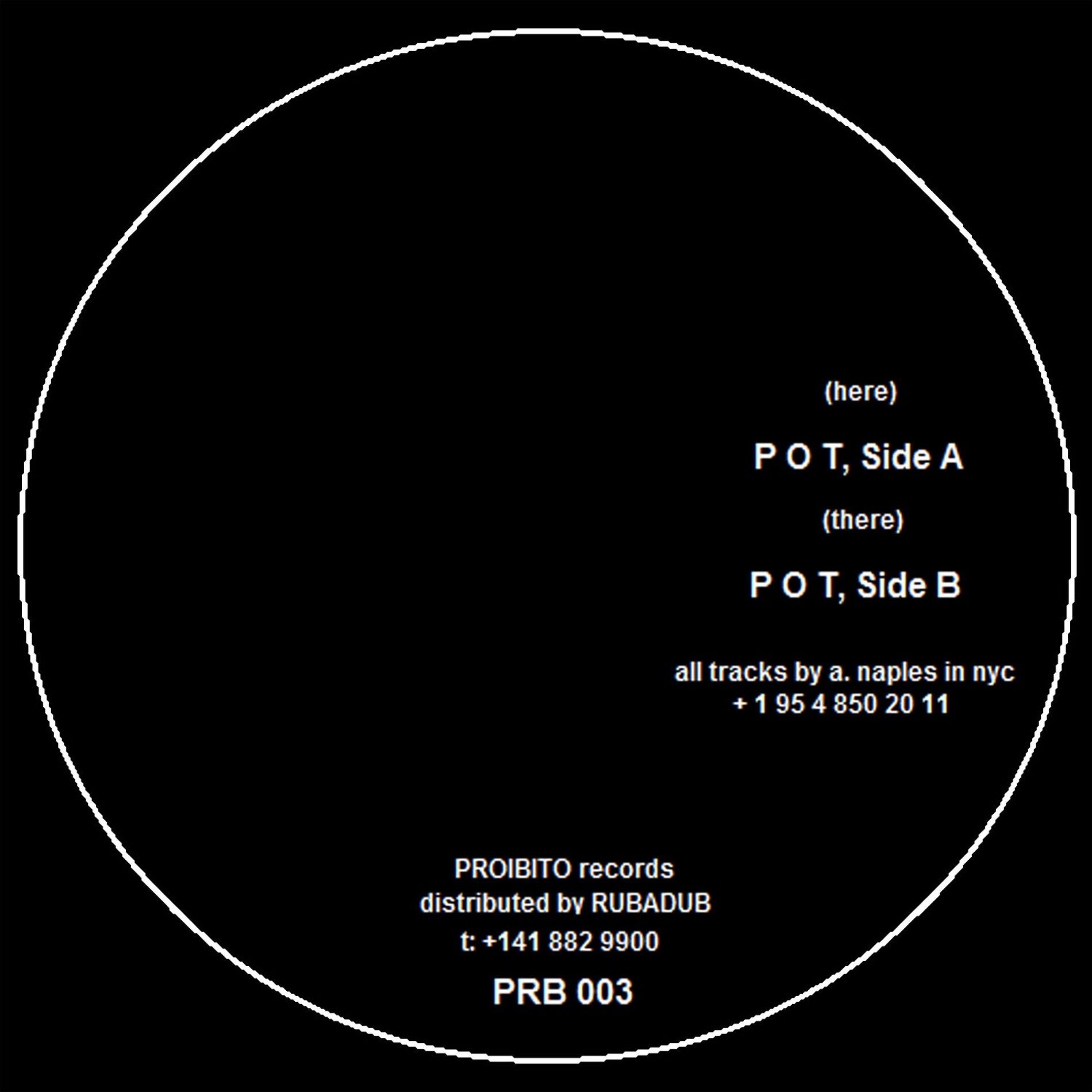 Album cover of P O T