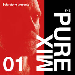 Cover of The Pure Mix 01