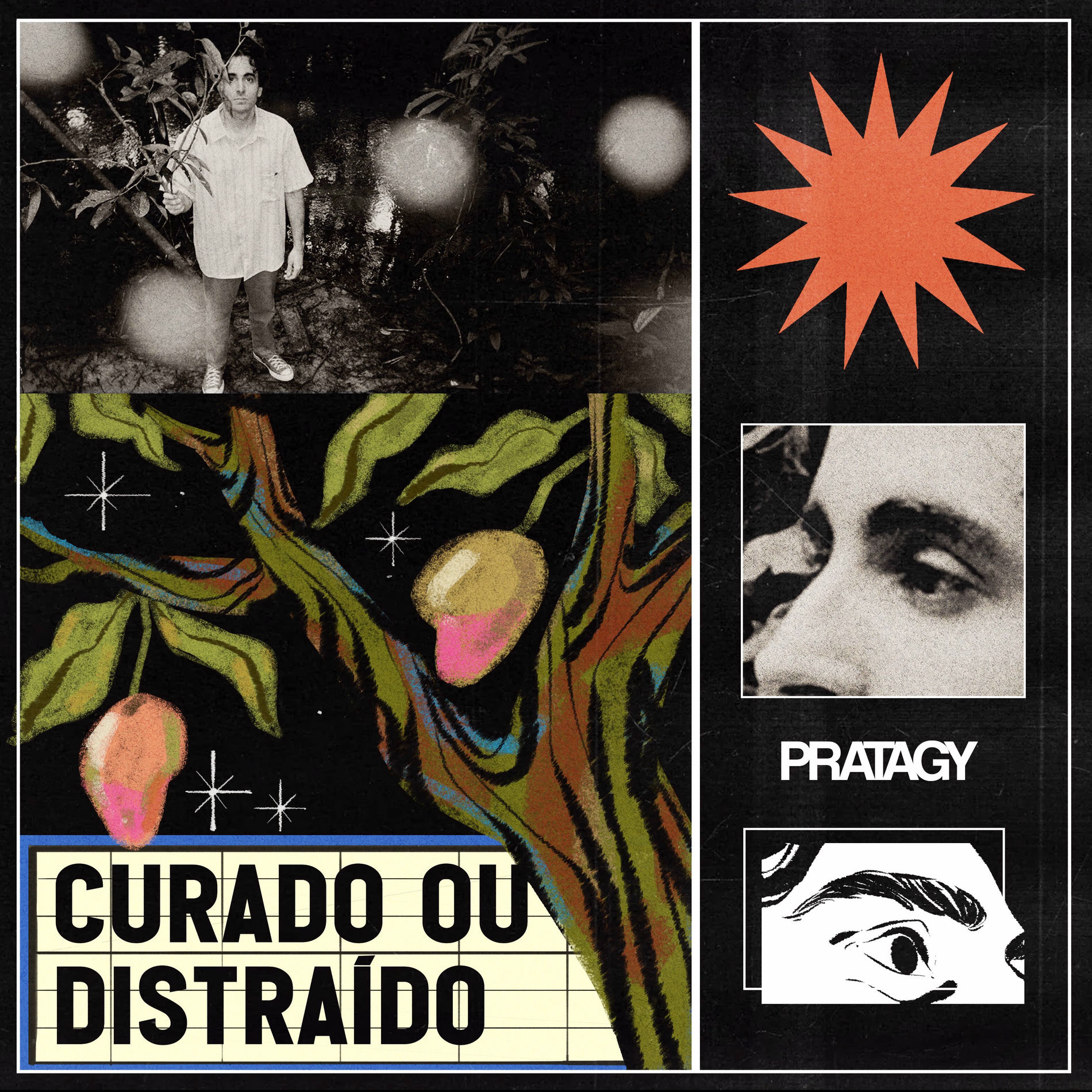 Album cover of Curado ou Distraído