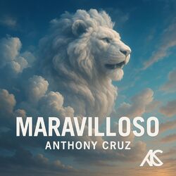 Cover of MARAVILLOSO