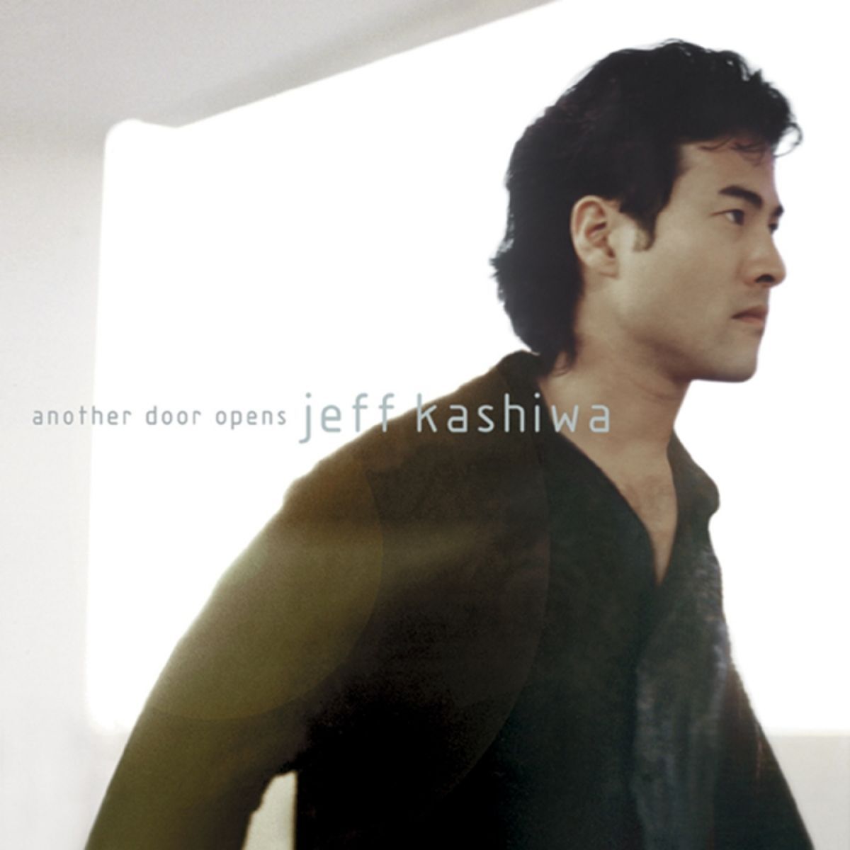 Album cover of Another Door Opens
