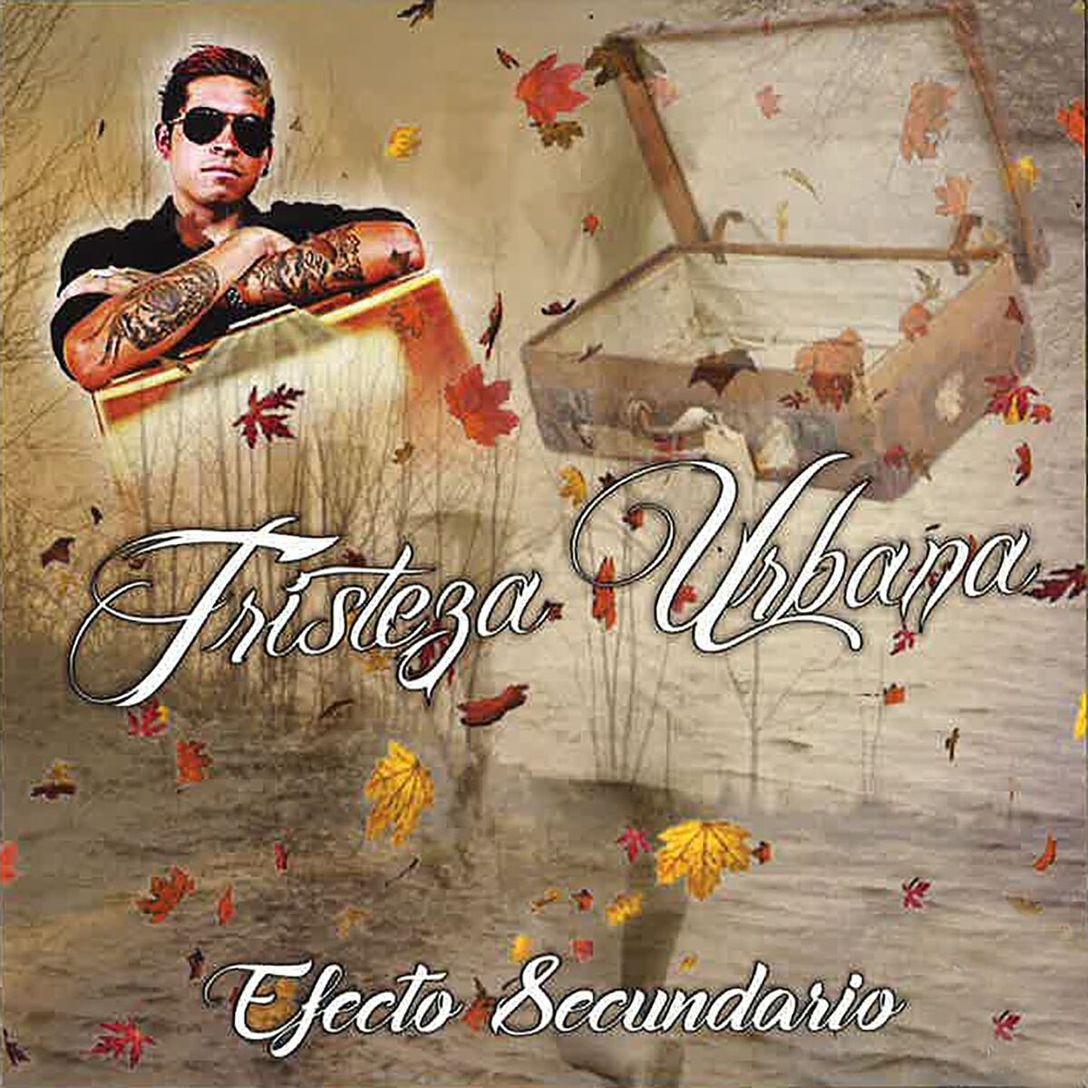 Album cover of Efecto Secundario