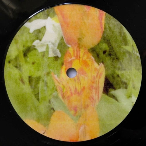 Honeysuckle (Teuteu Remix) artwork
