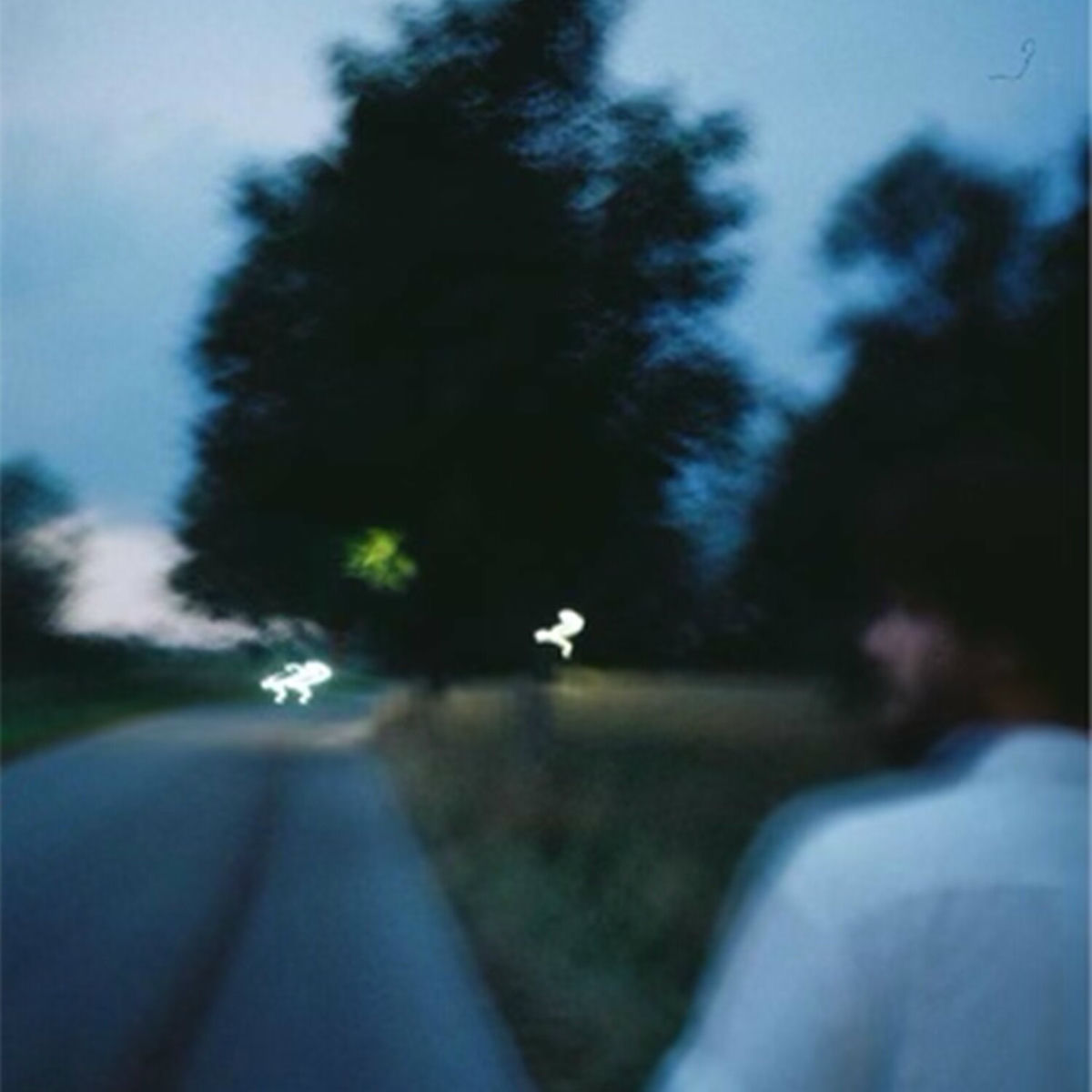 Album cover of Youth