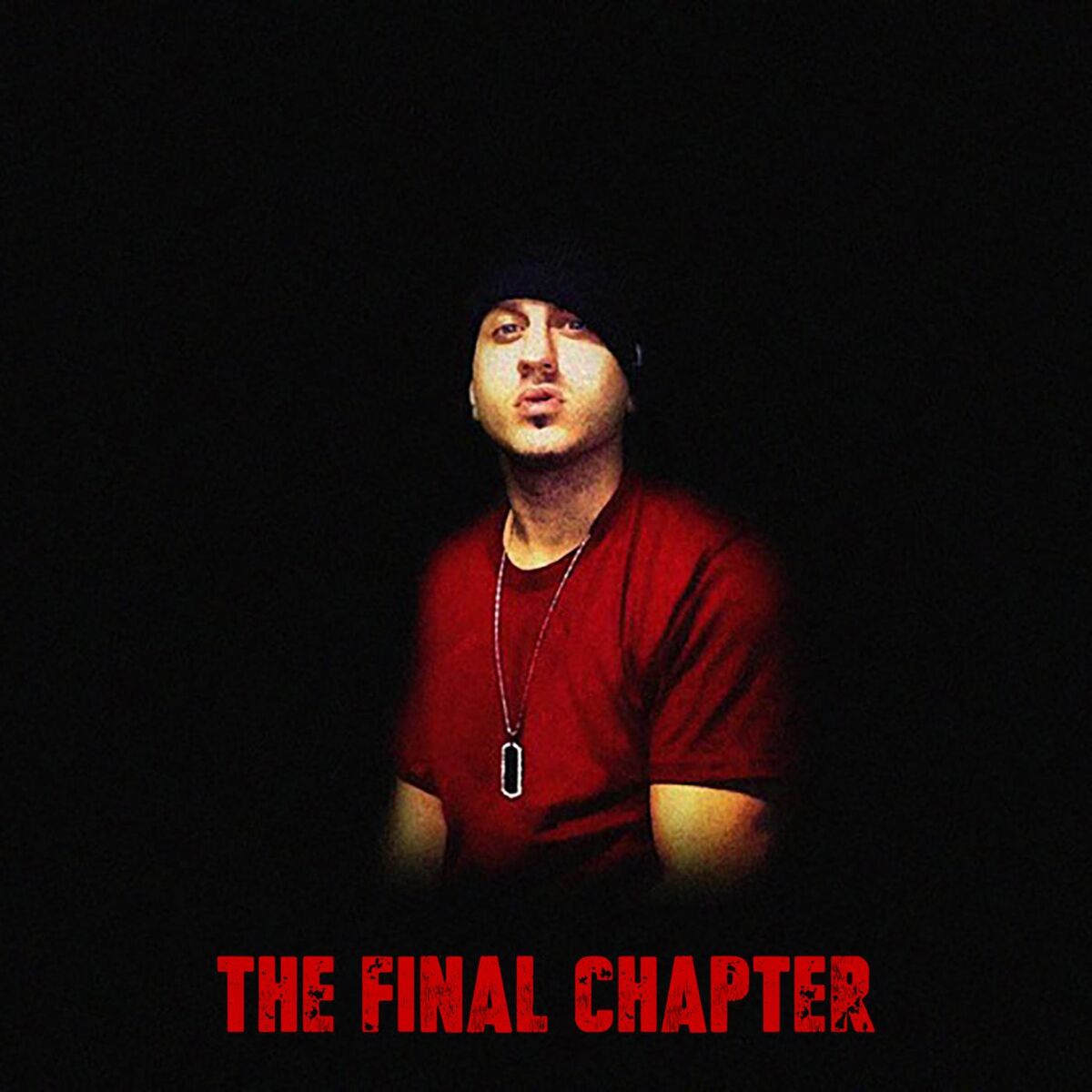 Album cover of The Final Chapter
