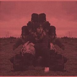 Cover of Before the Storm