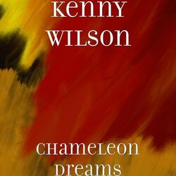 Cover of Chameleon Dreams