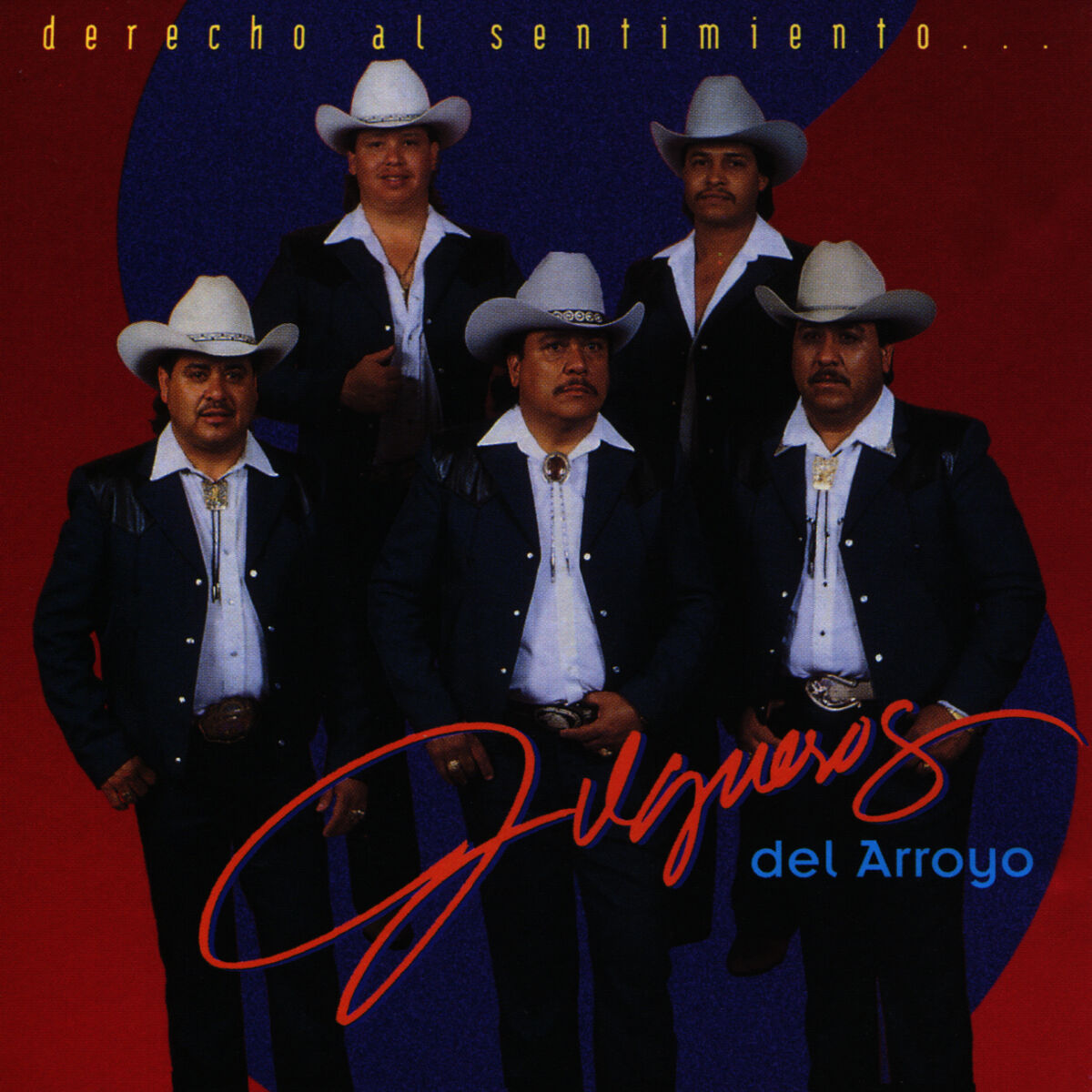 Album cover of Derecho al Sentimiento...