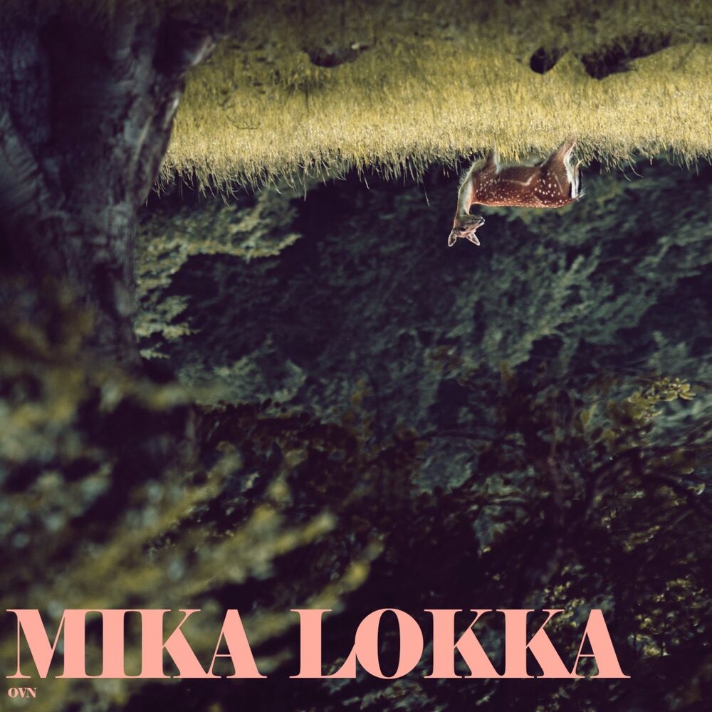 Picture of Mika Lokka