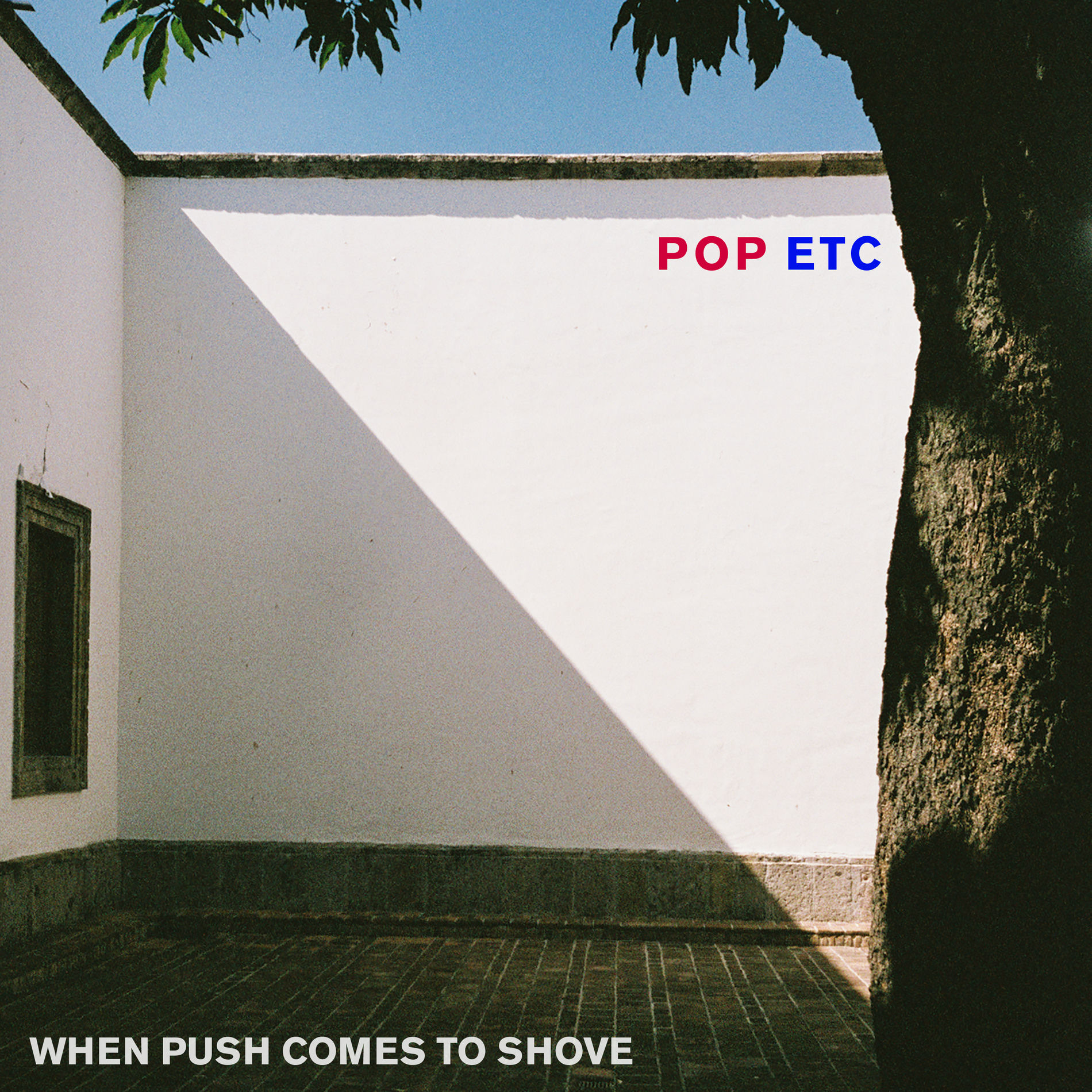 Album cover of When Push Comes to Shove