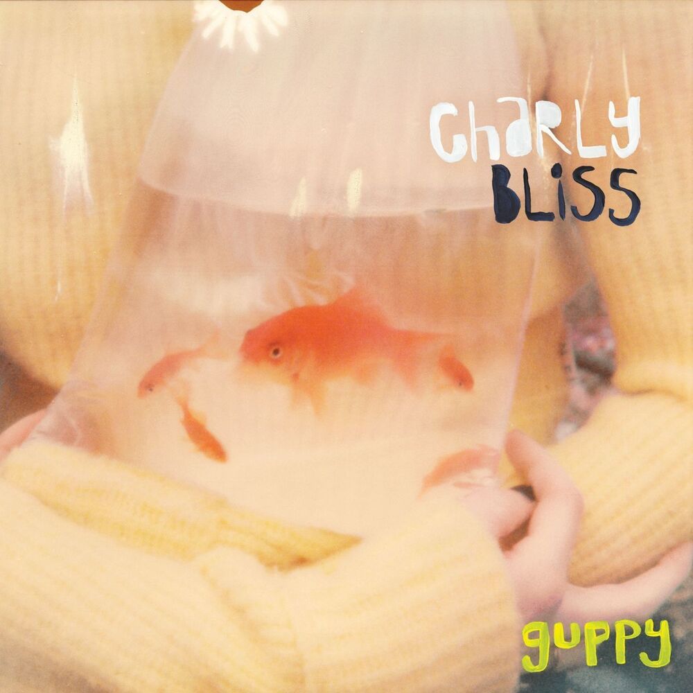 Picture of Guppy