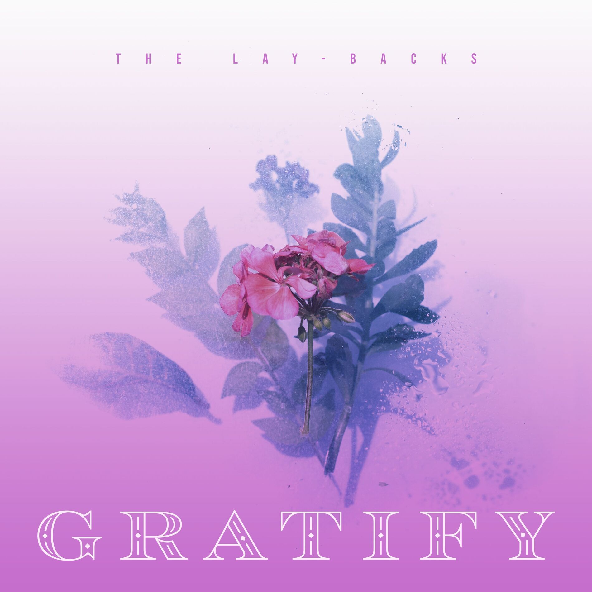 Album cover of Gratify
