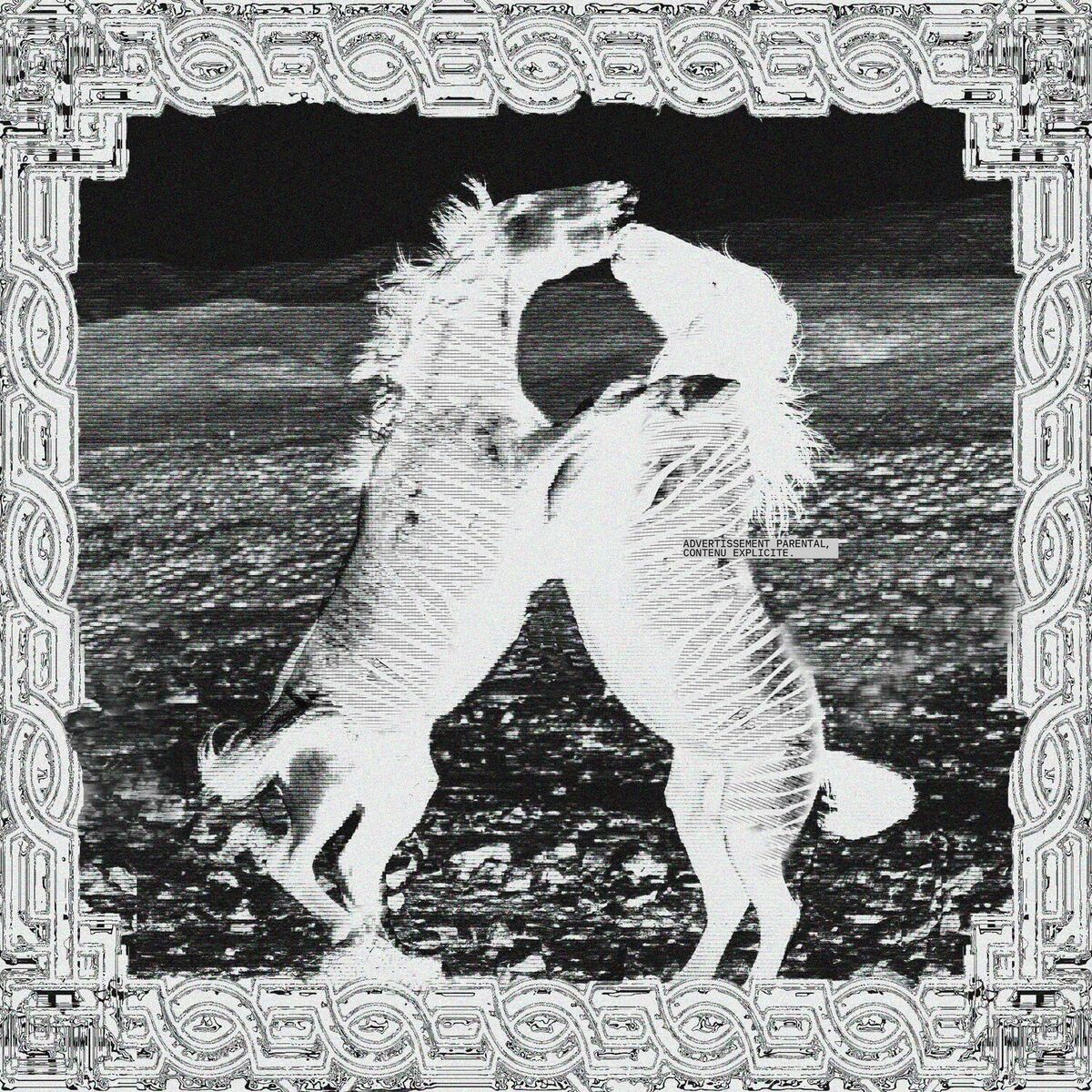 Album cover of PORNOGRAPHE 1