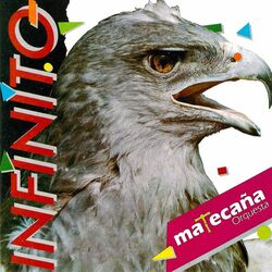 Cover of Infinito