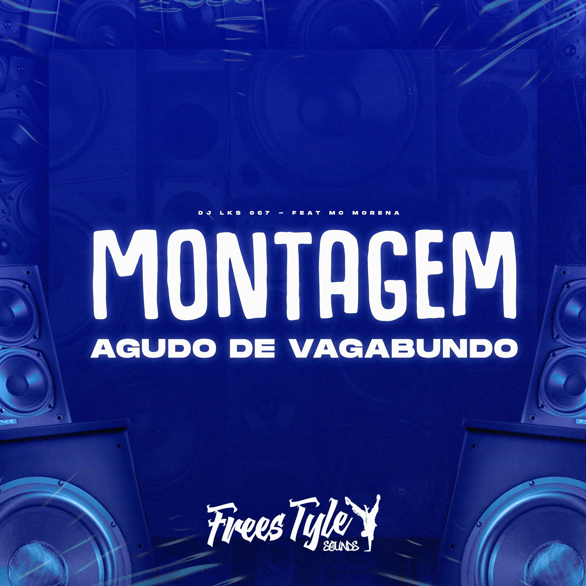 Album cover of Montagem Agudo de Vagabundo