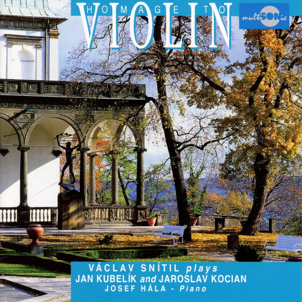 Picture of Homage to Violin