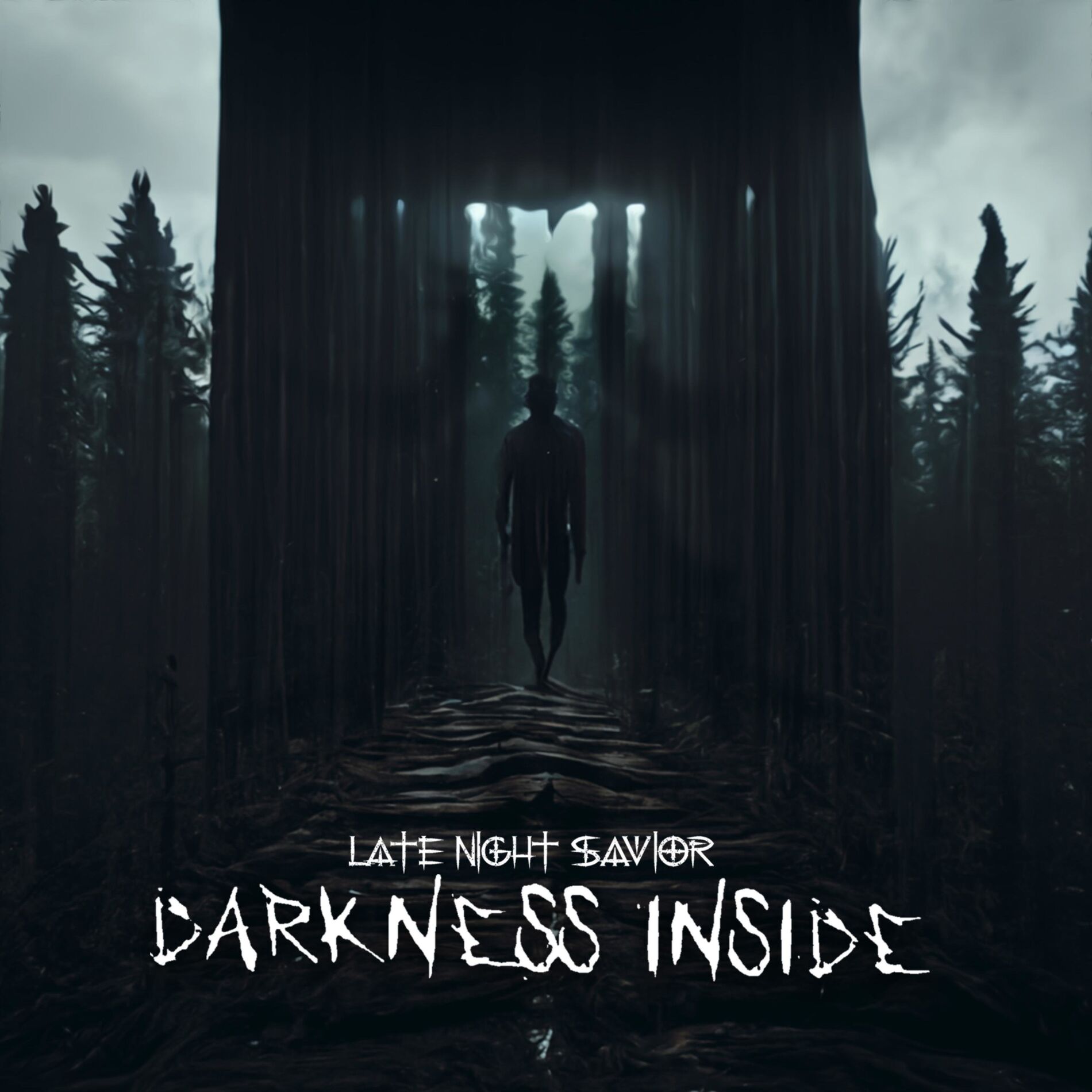Album cover of Darkness Inside
