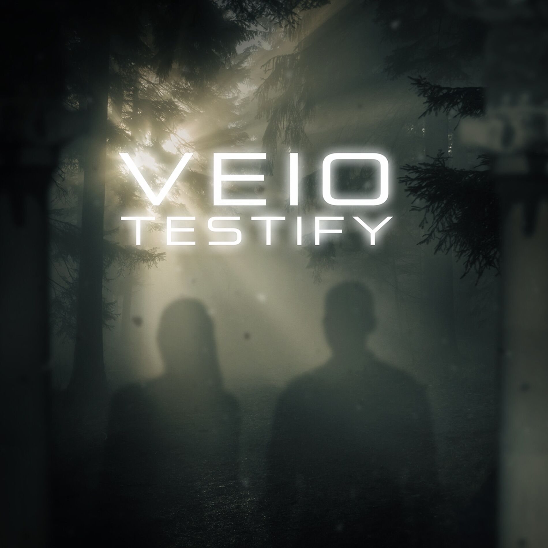 Album cover of Testify