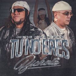 Cover of Tu No Eres Bichota