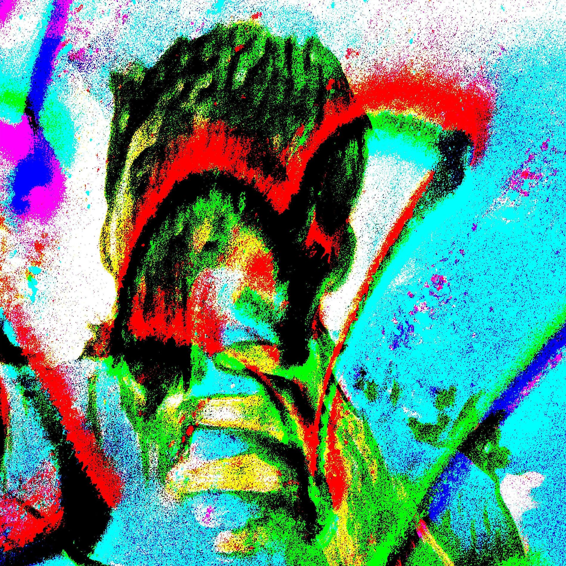 Album cover of more colors