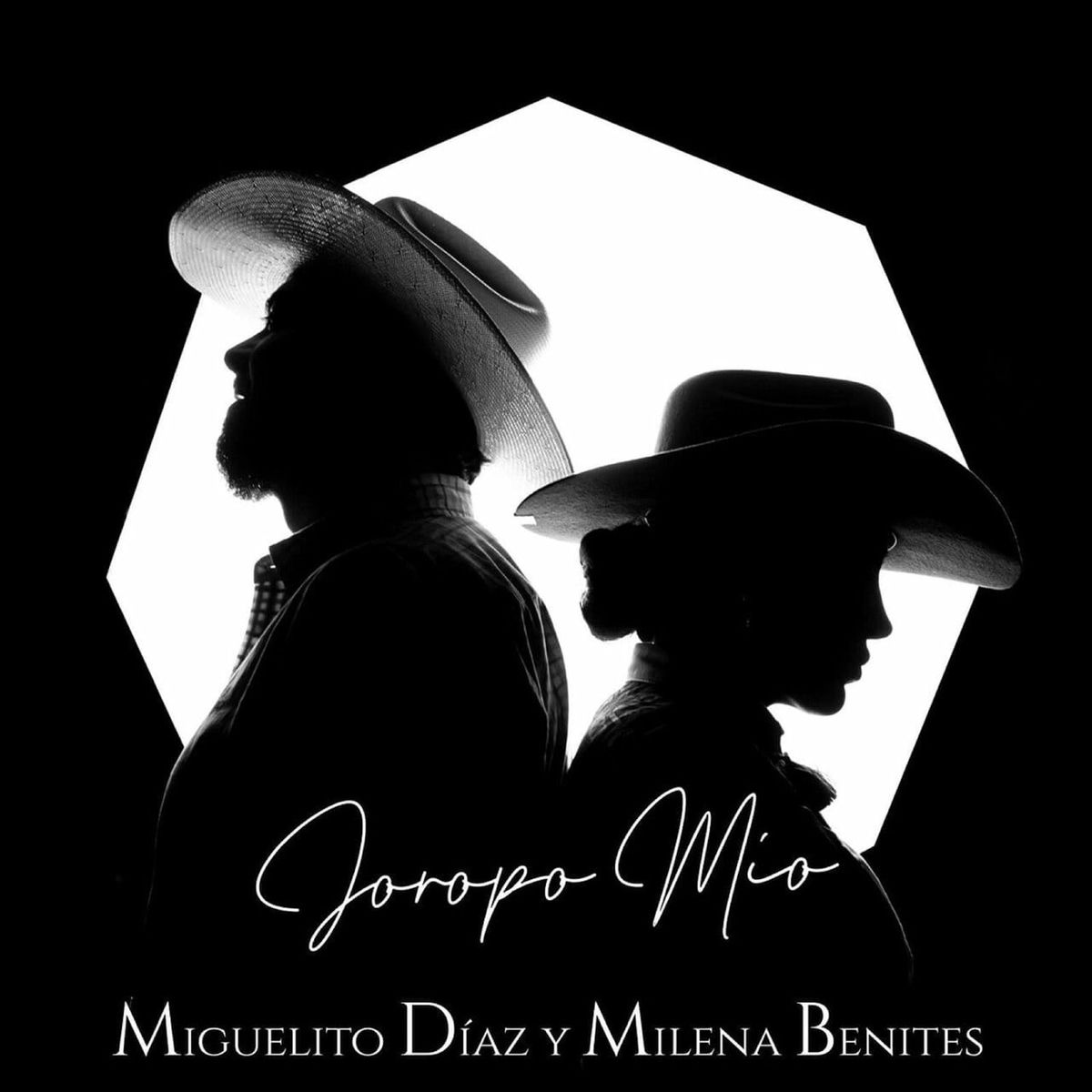 Album cover of Joropo Mío