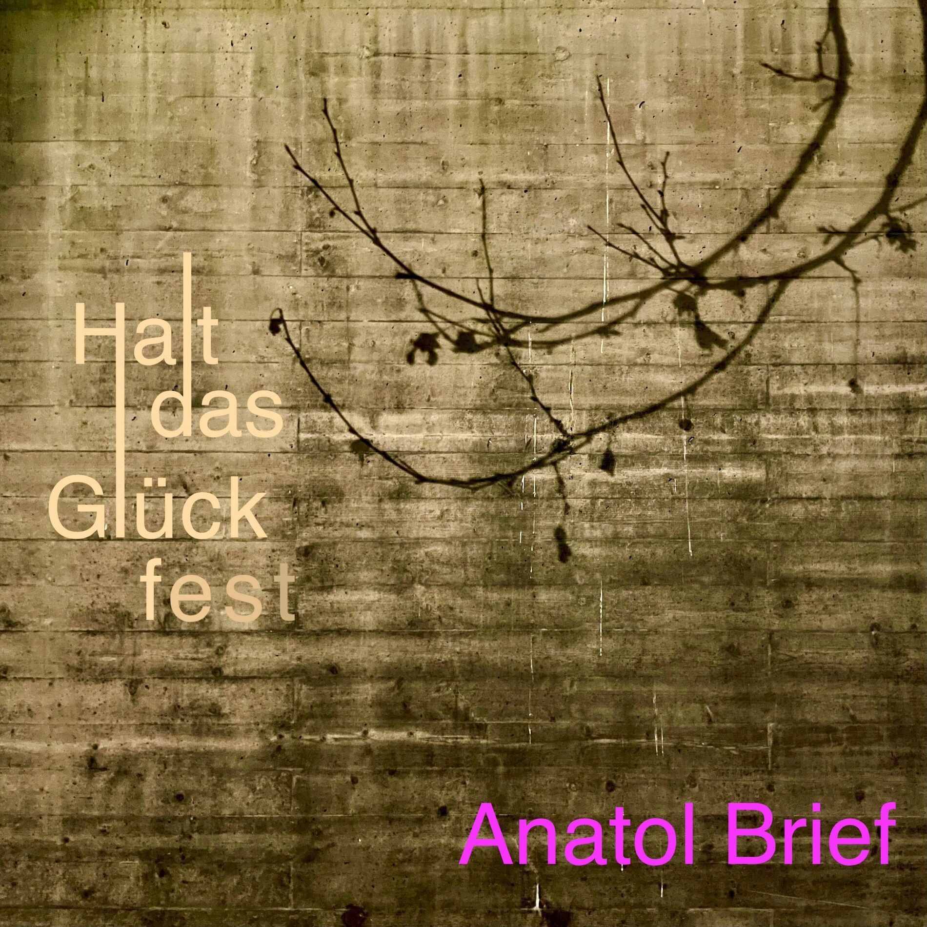 Album cover of Halt das Glück fest