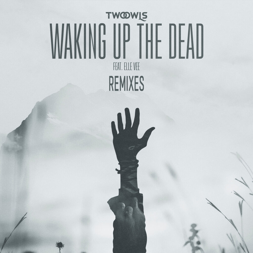 Picture of Waking Up The Dead (Remixes)