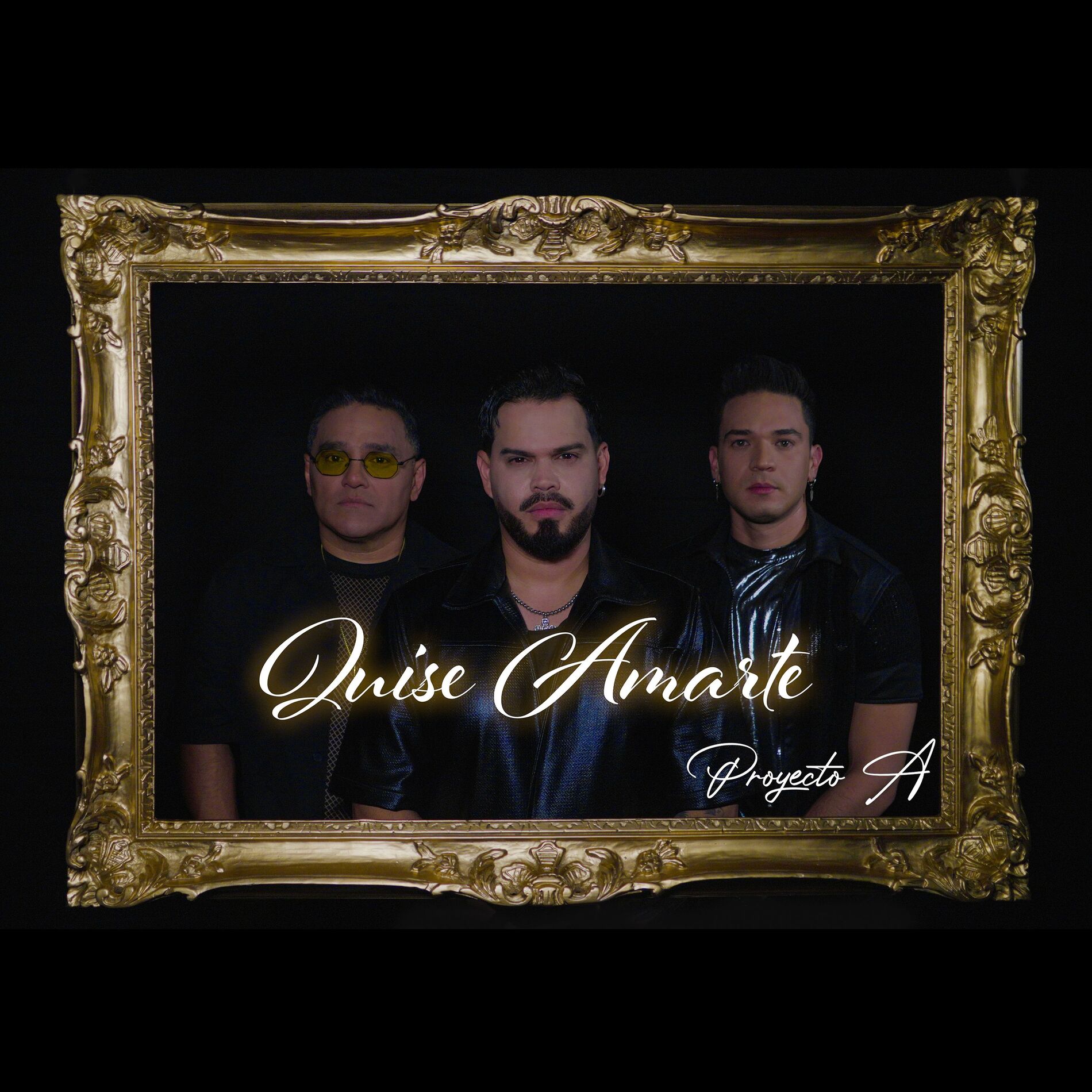 Album cover of Quise Amarte