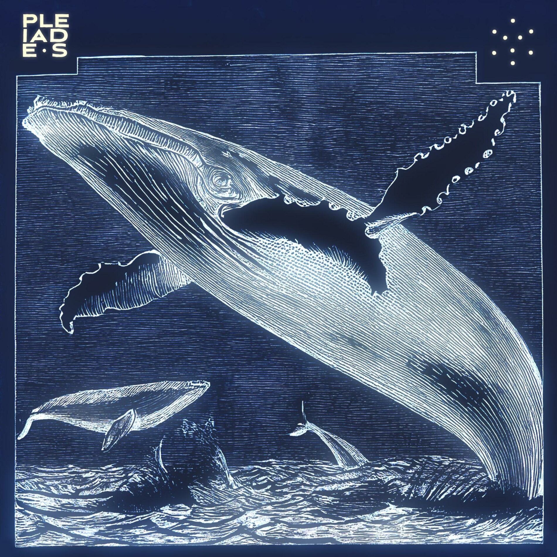 Album cover of Mittimatalik