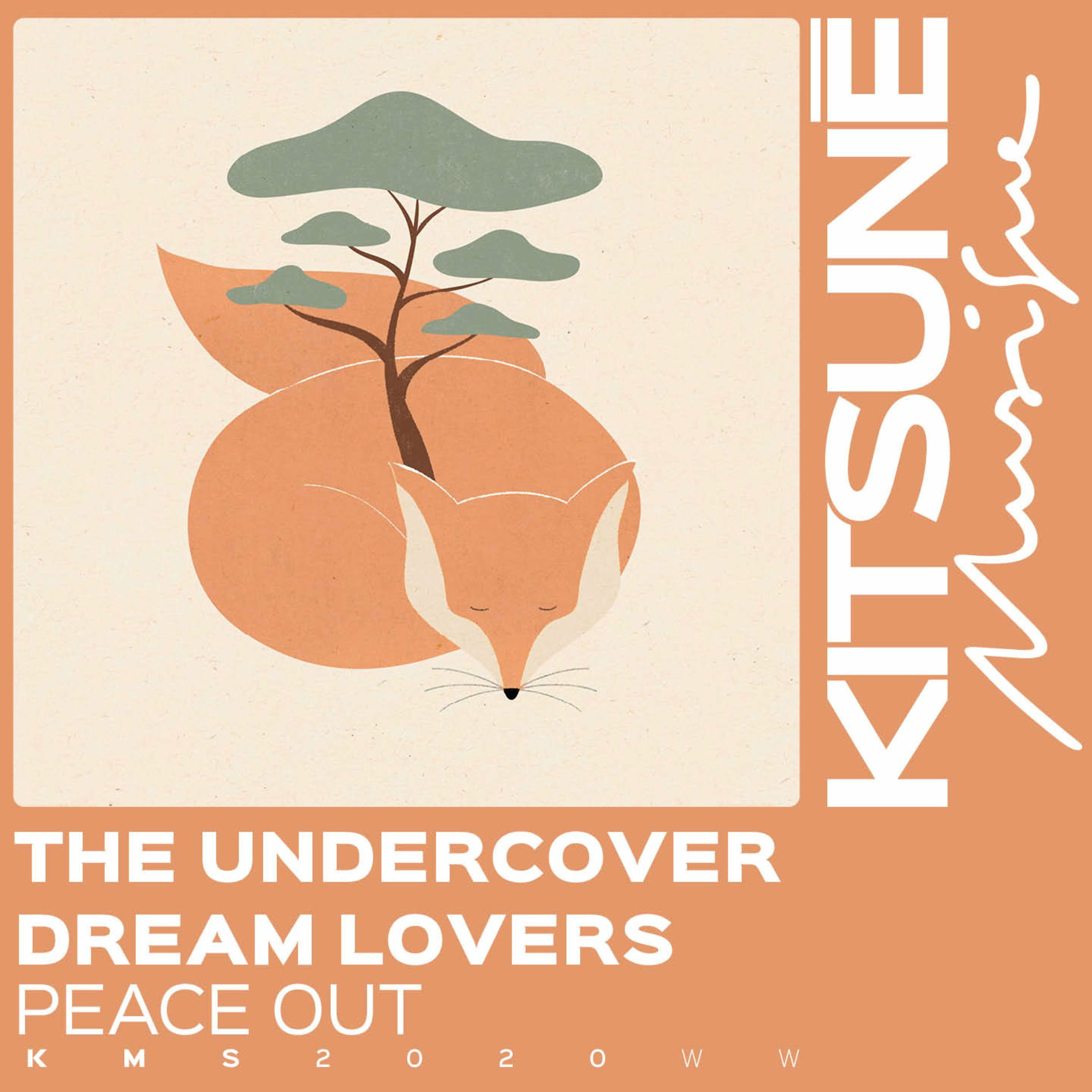 Album cover of Peace Out