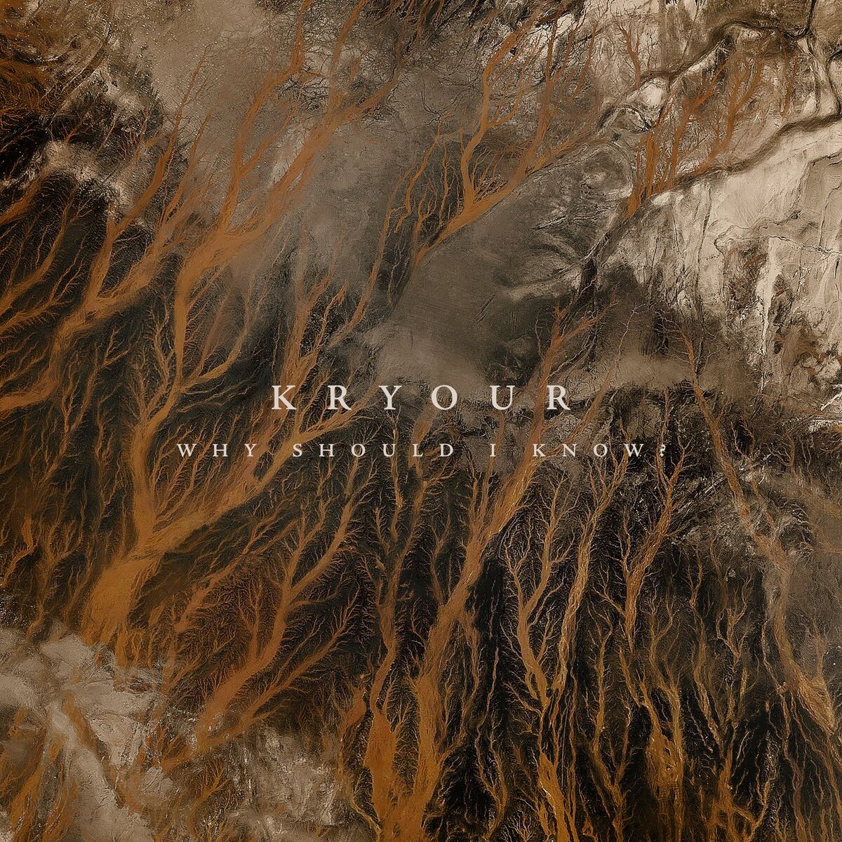 Album cover of Why Should I Know?