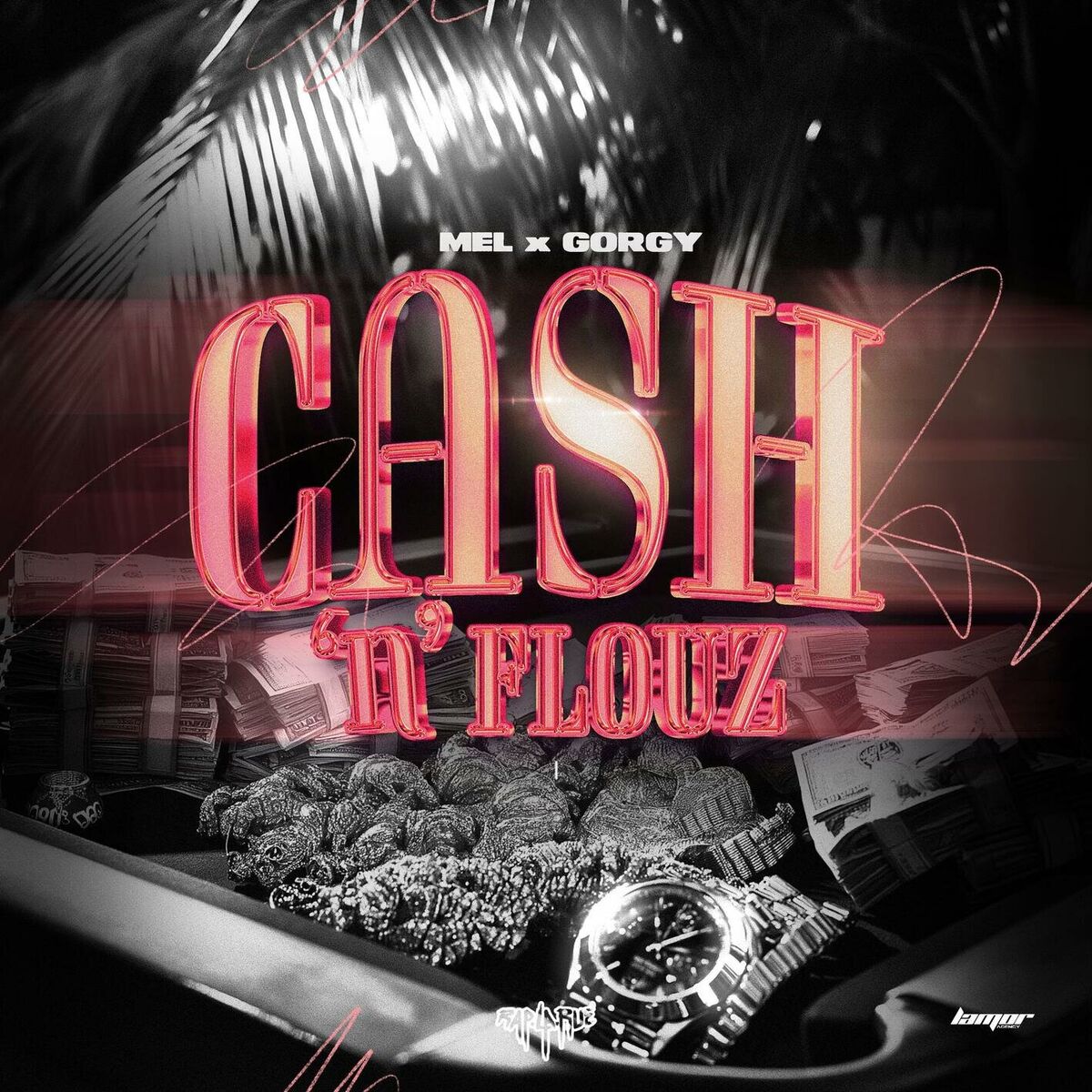 Album cover of CASH N FLOUZ