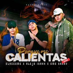 Cover of Porque me calientas (Remix)
