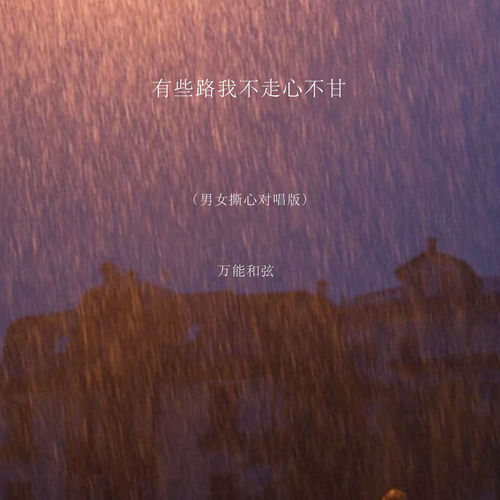 有些路我不走心不甘 (男女撕心对唱版)
