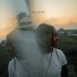 Cover of Paint The Sky