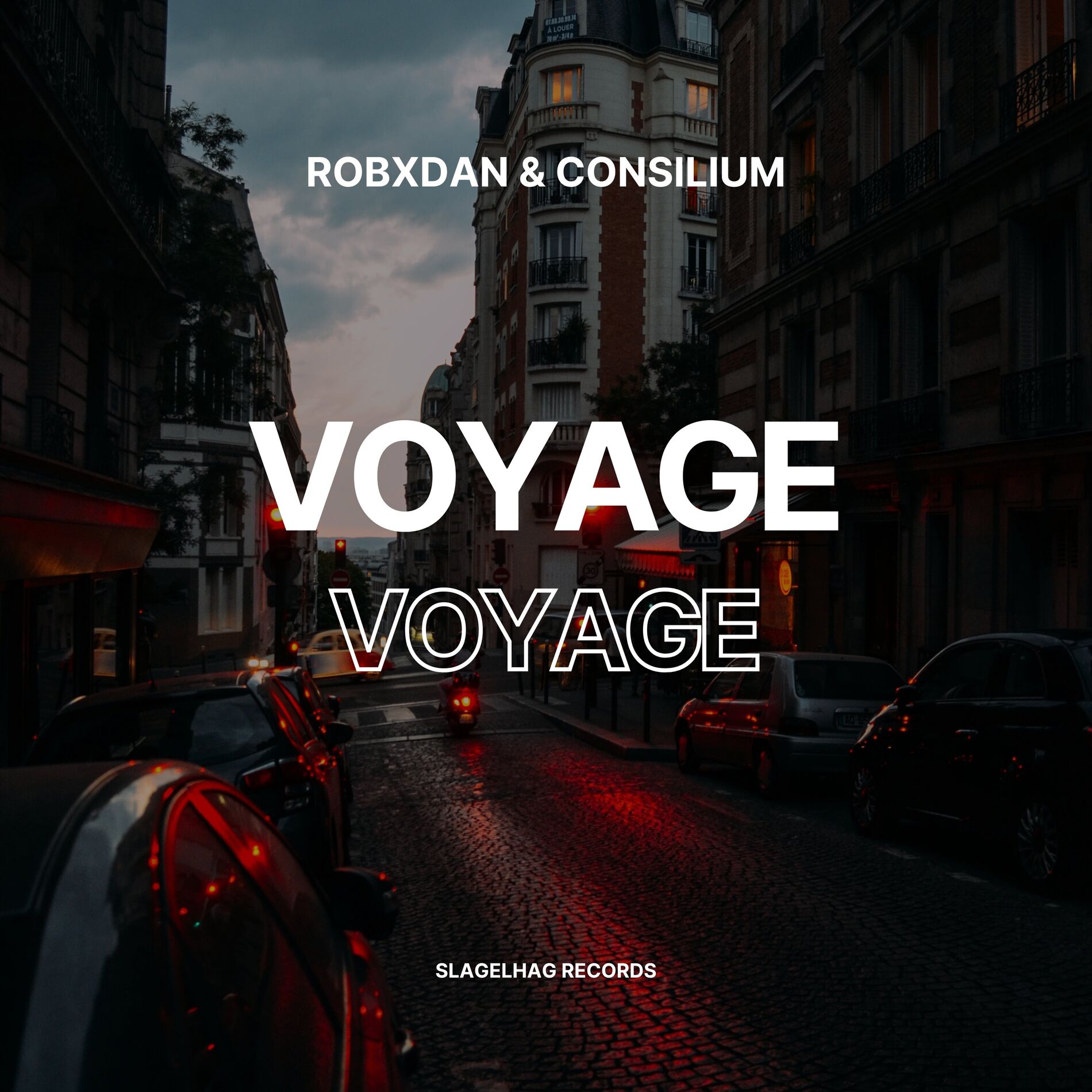 Album cover of Voyage Voyage