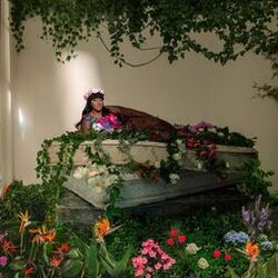 Cover of GARDEN