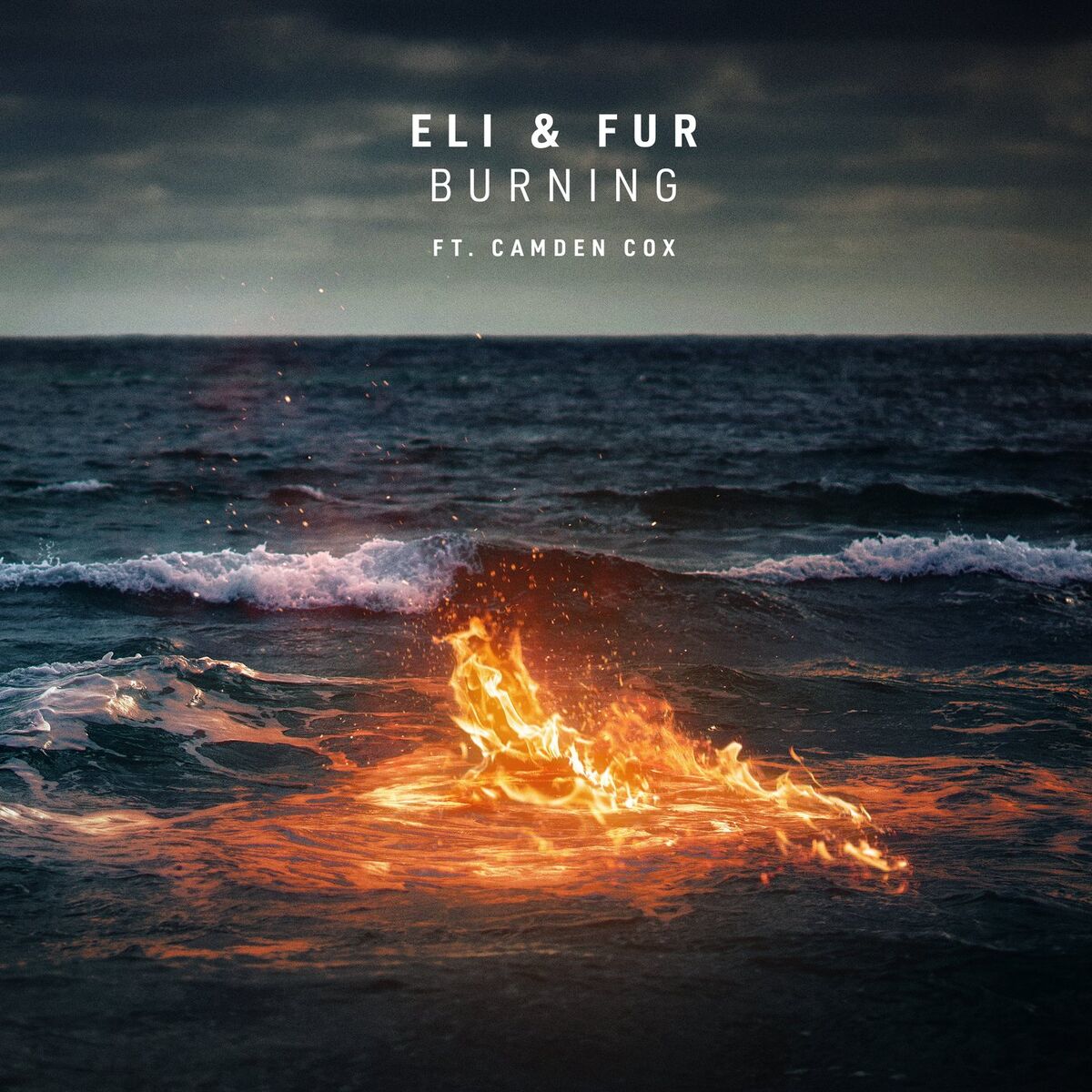 Album cover of Burning