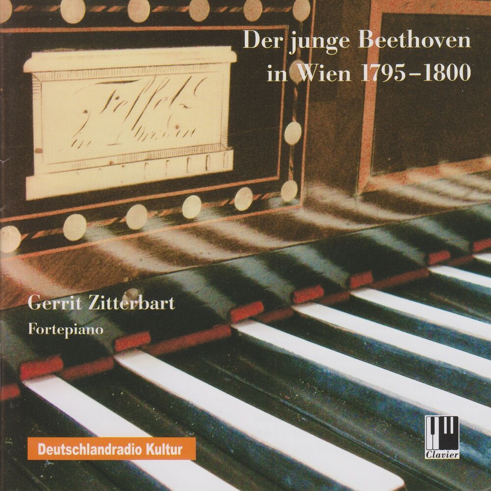 Picture of The Young Beethoven in Vienna 1795-1800
