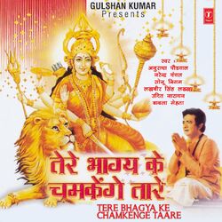 Cover of Tere Bhagya Ke Chamkenge Taare